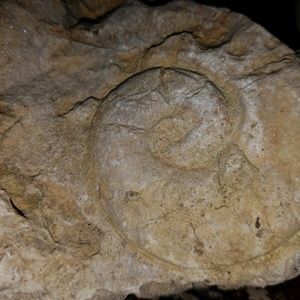 Meet your Posher, Margaret